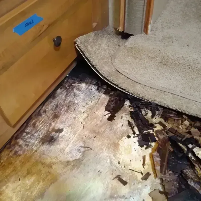 Wood Floor Water Damage in Superior, CO